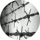 barbed wire